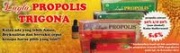 Gambar PROPOLIS TRIGONA LAYLA (premiumqualitypropolistrigona ASLI 100%) ECERAN dari TERAS HERBAL Solo Kab. Sukoharjo 3 Tokopedia