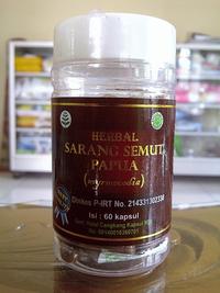 Gambar Semut Semut Papua 60Kaps (Myrcodia-original_ums) dari TERAS HERBAL Solo Kab. Sukoharjo 1 Tokopedia