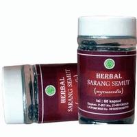 Gambar Semut Semut Papua 60Kaps (Myrcodia-original_ums) dari TERAS HERBAL Solo Kab. Sukoharjo 2 Tokopedia