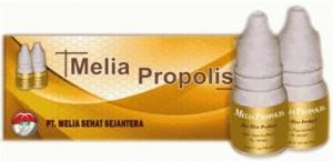 Gambar PROPOLIS MELIA KEMASAN BARU ECERAN dari TERAS HERBAL Solo Kab. Sukoharjo Tokopedia