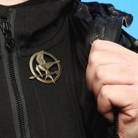 Gambar NECA Hunger Games Mocking Jay Movie Replica Pin dari Sweetforus Kota Blitar 5 Tokopedia