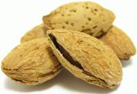 Gambar 250gram Almond panggang original usa roasted california bakar dari Supplier Kacang Kota Administrasi Jakarta Pusat 1 Tokopedia