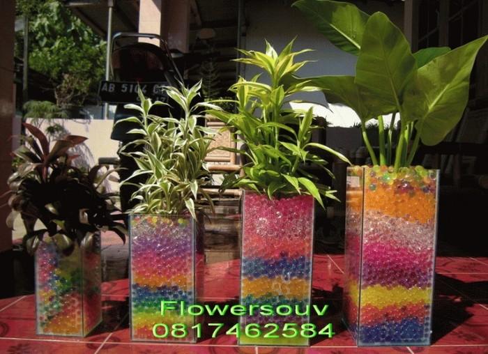 Gambar Hidrogel Pelangi dari hidrogel pelangi Kab. Bantul Tokopedia