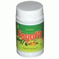 Gambar Fagofit 80 (Tambah Nafsu Makan) griyaherba dari TERAS HERBAL Solo Kab. Sukoharjo 2 Tokopedia