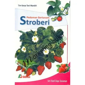 Pedoman Bertanam Stroberi
