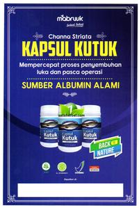 Gambar Kapsul Ikan Kutuk Albumin tinggi mempercepat penyembuhan pasca operasi dari satuherbalstore Kota Surabaya 2 Tokopedia
