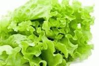 Gambar SELADA HIJAU dari Pelangi Seribu Warna Kota Serang 2 Tokopedia