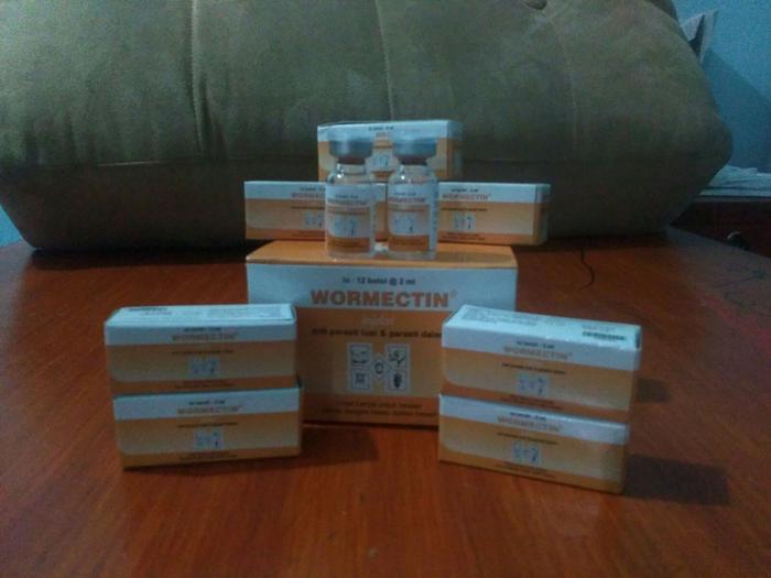 Gambar Obat Scabies - injeksi /Suntik (workmectin 2ml) dari Uraniwa Rabbit Kab. Bandung Tokopedia