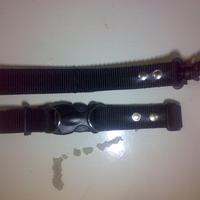 Gambar KALUNG ANJING POLOS +TALI PENUNTUN dari PET_ACC Kab. Bandung Barat 2 Tokopedia