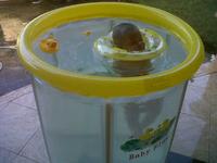 Gambar Kolam Spa Bayi Babyflow 90 x 90 cm dari Mutiaratoys Jakarta Utara 1 Tokopedia
