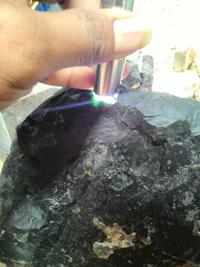 Gambar black jade super asal aceh 1/4kg dari Elly Online Kab. Aceh Barat 2 Tokopedia