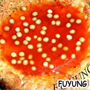 FU YUNG HAI PORSI BESAR RESEP ASLI SEJAK TAHUN 1956