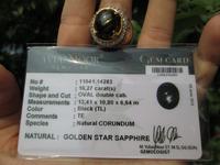 Gambar Golden Star Sapphire Super Mulus 12 Star With Memo SF008 Ikatan Mewah dari CNC phoneshop Kota Administrasi Jakarta Pusat 5 Tokopedia
