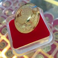 Gambar PIN KORPRI PNS OVAL SEPUH EMAS ASLI dari Sahabat Shop Putriani Jakarta Pusat 3 Tokopedia