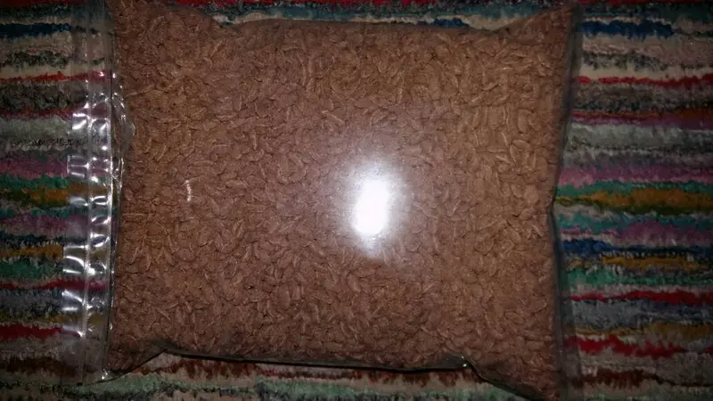 rice crispy coklat 0