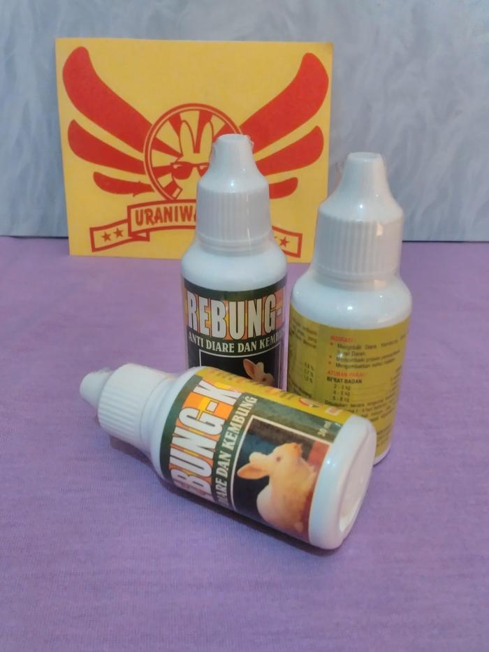 Gambar Obat kembung dan mencret untuk kelinci - Rebung K dari Uraniwa Rabbit Kab. Bandung Tokopedia