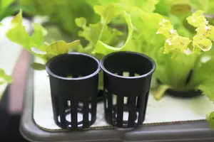 Netpot Hidroponik Hitam