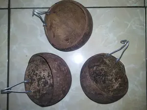 pouch batok sugar glider