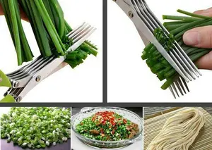 gunting bawang daun seledri pisau dapur masak