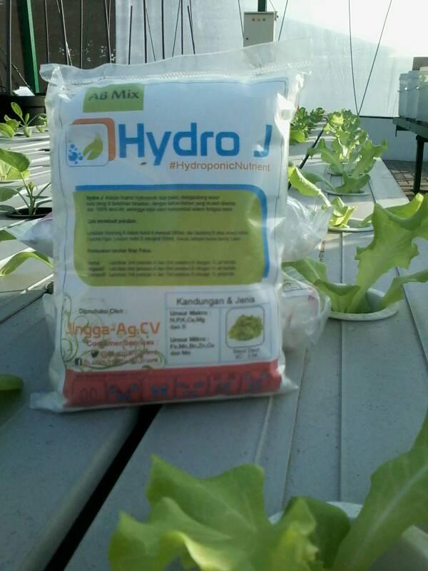 Gambar Nutrisi AB Mix dari KARNEYCOVA SHOP Kab. Gresik Tokopedia