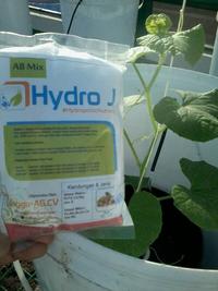 Gambar Nutrisi AB Mix dari KARNEYCOVA SHOP Kab. Gresik 2 Tokopedia