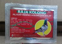 Gambar Raja Kolong - Pil Kuat Burung Merpati Kolong Dan Balap dari Christme Kab. Semarang 2 Tokopedia
