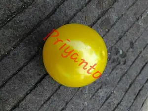 BOLA PENUTUP PEMBUKA JAM TANGAN/ BALL OPEN CASE