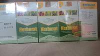 Gambar Herburat griyaherba dari TERAS HERBAL Solo Kab. Sukoharjo 1 Tokopedia