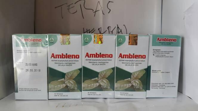 Gambar Ambieno wasir ekstrak Graptophyllum pictum folium griyaherba 60k dari TERAS HERBAL Solo Kab. Sukoharjo Tokopedia