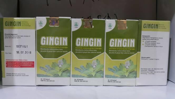Gambar GinGin ekstrak tempuyung srigunggu peluruh batu oksalat ginjal 60k dari TERAS HERBAL Solo Kab. Sukoharjo Tokopedia