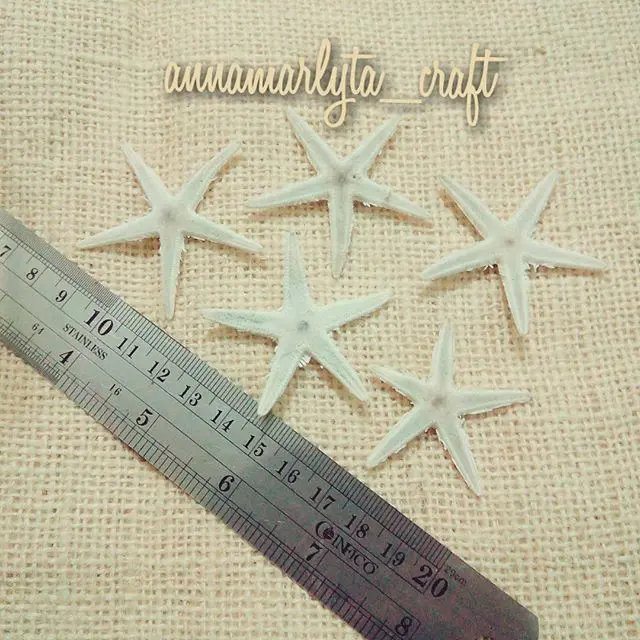 starfish kecil