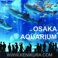 Gambar Osaka Aquarium Kaiyukan Tiket Junior Japan keiyukan Jepang ticket dari Kenikura Tour Kota Tangerang Selatan 1 Tokopedia