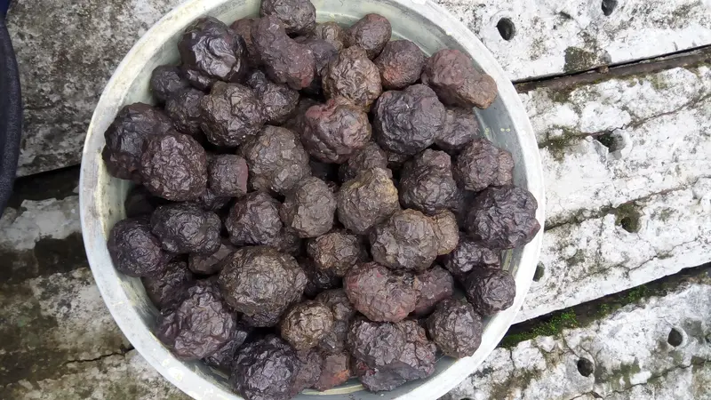 Bahan/Rough Batu Akik Badar Besi Selonatah 3