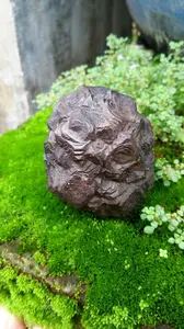 Bahan/Rough Batu Akik Badar Besi Selonatah