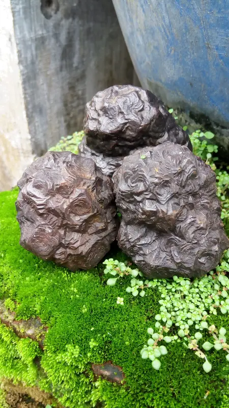Bahan/Rough Batu Akik Badar Besi Selonatah 4