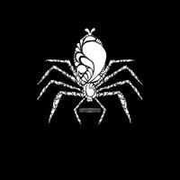Gambar stiker 4 Tarantula  Rp. 10.000 Per 4 pcs dari spider lover petshop Kota Bandung 1 Tokopedia