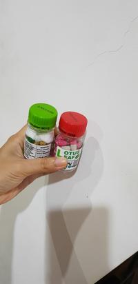 Gambar LOTUS LEAF ISI 10 KAPSUL dari My Beauty Collection Jakarta Barat 4 Tokopedia