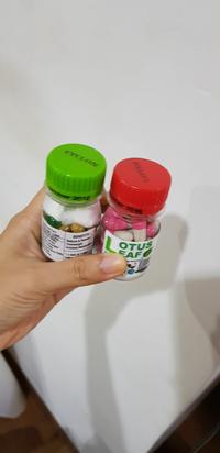 Gambar LOTUS LEAF ISI 20 KAPSUL dari My Beauty Collection Jakarta Barat 3 Tokopedia