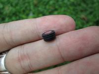 Gambar Mic Microphone Ericsson Hiu R310s R310 Original Seken dari CNC phoneshop Kota Administrasi Jakarta Pusat 3 Tokopedia