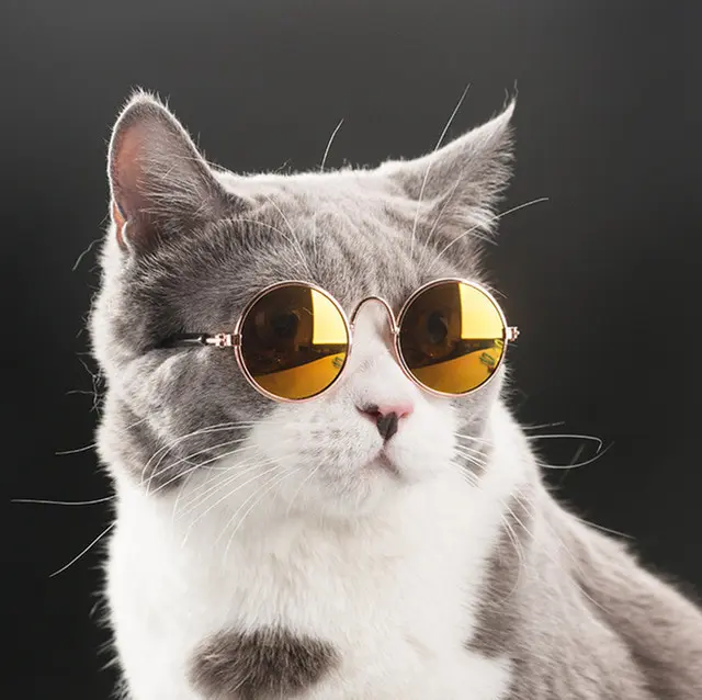 Kacamata Anjing Vintage / Kacamata Anjing Kecil / Kacamata Kucing
