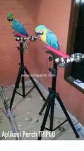 Perch Tripod untuk burung Falk nuri kaka tua afgrey macau.dll