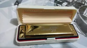 Harmonika Cowboy 10 Hole Nada C