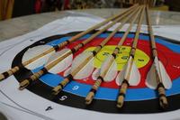 Gambar Arrow Kayu Ramin Grade A dari Hobies Sport Kota Banjar 5 Tokopedia