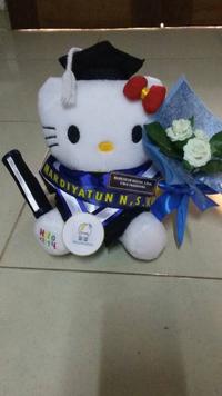 Gambar Boneka Wisuda Hello Kitty 25 cm Atribut Lengkap Kado Romantis dari Indo-Mall Kota Tangerang 5 Tokopedia