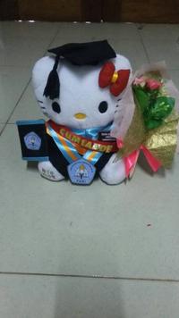 Gambar Boneka Wisuda Hello Kitty 25 cm Atribut Lengkap Kado Romantis dari Indo-Mall Kota Tangerang 4 Tokopedia