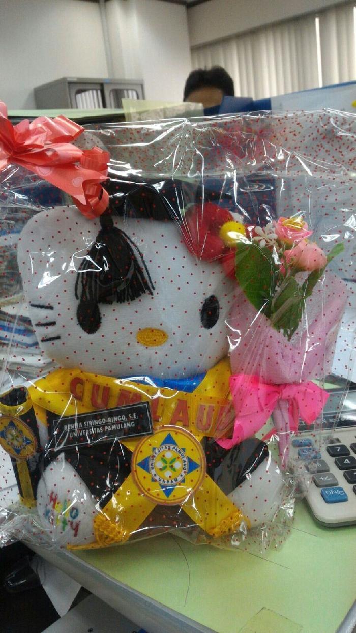 Gambar Boneka Wisuda Hello Kitty 25 cm Atribut Lengkap Kado Romantis dari Indo-Mall Kota Tangerang Tokopedia