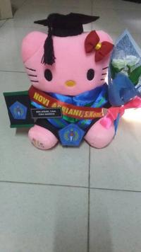 Gambar Boneka Wisuda Hello Kitty 25 cm Atribut Lengkap Kado Romantis dari Indo-Mall Kota Tangerang 3 Tokopedia