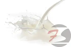 Premium Esen Milk Full Cream / Dairy Milk / Susu segar Essence Import