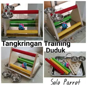 Perch/Tangkringan Duduk burung Parrot Afgrey Nuri Falk Parkit