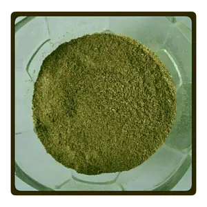 ciplukan /cecendet bubuk 1kg